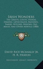 Irish Wonders: The Ghosts, Giants, Pookas, Demons, Leprechauns, Banshees, Fairies, Witches, Widows, Old Maids, And Other Marvels (188