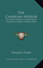 The Cambrian Mirror: Or The Tourist's Companion Through North Wales (1843)