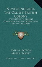 Newfoundland, The Oldest British Colony: Its History, Its Present Condition, And Its Prospects In The Future (1883)