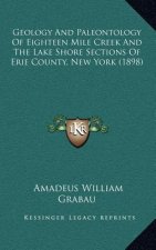 Geology And Paleontology Of Eighteen Mile Creek And The Lake Shore Sections Of Erie County, New York (1898)