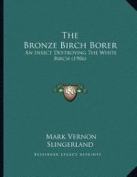 The Bronze Birch Borer: An Insect Destroying The White Birch (1906)