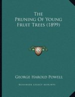 The Pruning Of Young Fruit Trees (1899)