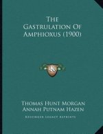 The Gastrulation Of Amphioxus (1900)
