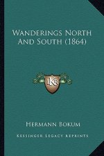 Wanderings North And South (1864)