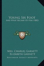 Young Six Foot: And What Became Of Him (1882)