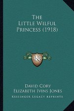 The Little Wilful Princess (1918)