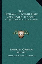 The Pathway Through Bible And Gospel History: In Questions And Answers (1874)