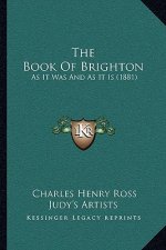 The Book Of Brighton: As It Was And As It Is (1881)