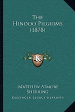 The Hindoo Pilgrims (1878)