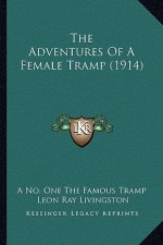 The Adventures Of A Female Tramp (1914)