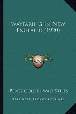 Wayfaring In New England (1920)