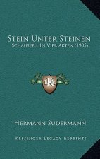 Stein Unter Steinen: Schauspeil In Vier Akten (1905)