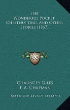 The Wonderful Pocket, Chestnutting, And Other Stories (1867)