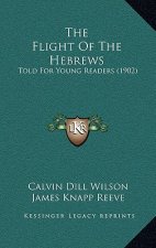 The Flight Of The Hebrews: Told For Young Readers (1902)