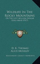 Wildlife In The Rocky Mountains: Or The Lost Million Dollar Gold Mine (1917)