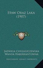 Staw Oraz Laka (1907)