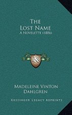 The Lost Name: A Novelette (1886)