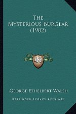 The Mysterious Burglar (1902)