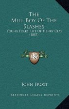 The Mill Boy Of The Slashes: Young Folks' Life Of Henry Clay (1887)