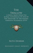 The Swallow: A Novel Based Upon The Actual Experiences Of One Of The Survivors Of The Famous Lafayette Escadrille (1919)