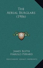 The Aerial Burglars (1906)
