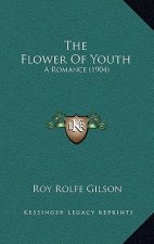 The Flower Of Youth: A Romance (1904)