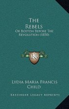 The Rebels: Or Boston Before The Revolution (1850)