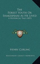 The Forest Youth Or Shakespeare As He Lived: A Historical Tale (1853)