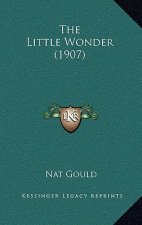 The Little Wonder (1907)