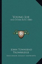 Young Joe: And Other Boys (1880)