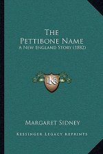The Pettibone Name: A New England Story (1882)