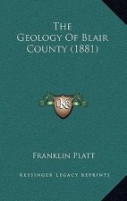 The Geology Of Blair County (1881)
