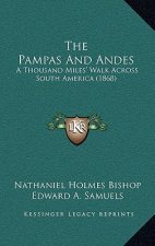 The Pampas And Andes: A Thousand Miles' Walk Across South America (1868)
