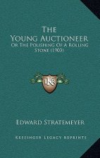 The Young Auctioneer: Or The Polishing Of A Rolling Stone (1903)