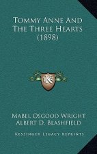 Tommy Anne And The Three Hearts (1898)