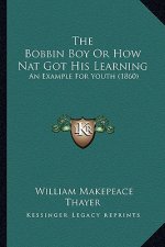 The Bobbin Boy Or How Nat Got His Learning: An Example For Youth (1860)
