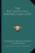 The Boy Scouts In A Trapper's Camp (1920)