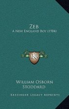 Zeb: A New England Boy (1904)