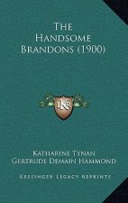 The Handsome Brandons (1900)