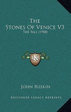 The Stones Of Venice V3: The Fall (1900)