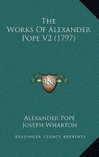 The Works Of Alexander Pope V2 (1797)