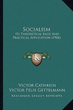 Socialism: Its Theoretical Basis And Practical Application (1904)