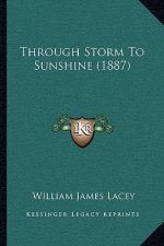 Through Storm To Sunshine (1887)