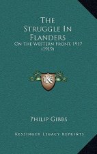 The Struggle In Flanders: On The Western Front, 1917 (1919)