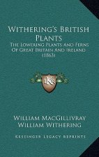 Withering's British Plants: The Lowering Plants And Ferns Of Great Britain And Ireland (1863)