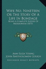 Wife No. Nineteen Or The Story Of A Life In Bondage: Being A Complete Expose Of Mormonism (1875)