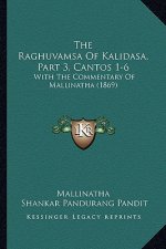 The Raghuvamsa Of Kalidasa, Part 3, Cantos 1-6: With The Commentary Of Mallinatha (1869)