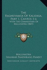 The Raghuvamsa Of Kalidasa, Part 1, Cantos 1-6: With The Commentary Of Mallinatha (1869)