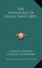 The Adventures Of Oliver Twist (1891)