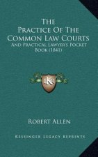 The Practice Of The Common Law Courts: And Practical Lawyer's Pocket Book (1841)